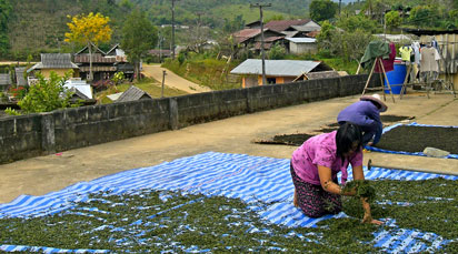 รูปภาพที่เกี่ยวข้อง