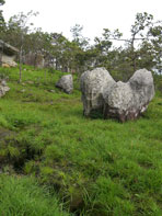 หินหัวใจ-หินค้างคาว-ทางเดินชมและศึกษาธรรมชาติ-อุทยานแห่งชาติป่าหินงาม-อ.เทพสถิต-จ.ชัยภูมิ