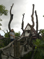 ไร่ศรีสุข อ.เทพสถิต จ.ชัยภูม