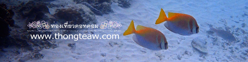 Underwater_World_Pattaya