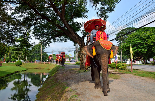 ทัวร์อยุธยา_อุทยานประวัติศาสตร์_พระนครศรีอยุธยา_วังช้างแลเพนียด_ล่องเรือ_แม่น้ำเจ้าพระยา_ไหว้พระ_อยุธยา_11