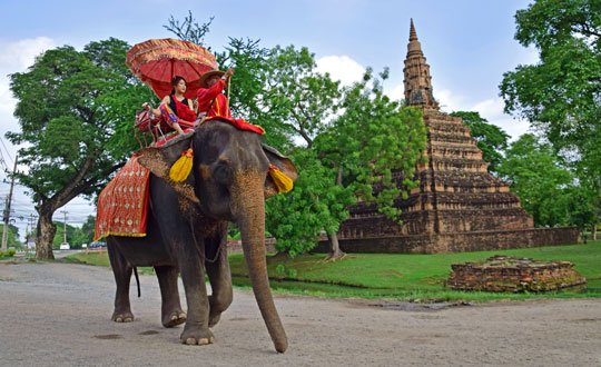 ทัวร์อยุธยา_อุทยานประวัติศาสตร์_พระนครศรีอยุธยา_วังช้างแลเพนียด_ล่องเรือ_แม่น้ำเจ้าพระยา_ไหว้พระ_อยุธยา_53