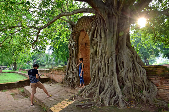 ทัวร์อยุธยา_อุทยานประวัติศาสตร์_พระนครศรีอยุธยา_วัดพระงาม_ล่องเรือ_แม่น้ำเจ้าพระยา_ไหว้พระ_อยุธยา_50