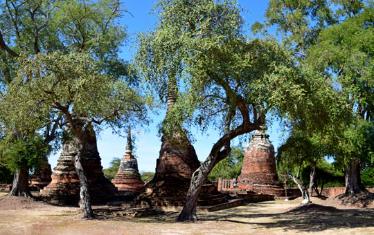 ทัวร์อยุธยา_อุทยานประวัติศาสตร์_พระนครศรีอยุธยา_วัดพระศรีสรรเพชญ์_ล่องเรือ_แม่น้ำเจ้าพระยา_ไหว้พระ_อยุธยา_59