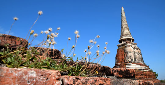 ทัวร์อยุธยา_อุทยานประวัติศาสตร์_พระนครศรีอยุธยา_วัดมหาธาตุ_ล่องเรือ_แม่น้ำเจ้าพระยา_ไหว้พระ_อยุธยา_100