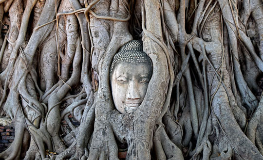 ทัวร์อยุธยา_อุทยานประวัติศาสตร์_พระนครศรีอยุธยา_วัดมหาธาตุ_ล่องเรือ_แม่น้ำเจ้าพระยา_ไหว้พระ_อยุธยา_5