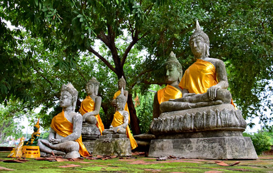 ทัวร์อยุธยา_อุทยานประวัติศาสตร์_พระนครศรีอยุธยา_วัดใหญ่ชัยมงคล_ล่องเรือ_แม่น้ำเจ้าพระยา_ไหว้พระ_อยุธยา_193