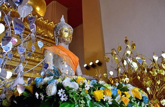 ทัวร์อยุธยา_อุทยานประวัติศาสตร์_พระนครศรีอยุธยา_วิหารพระมงคลบพิตร_ล่องเรือ_แม่น้ำเจ้าพระยา_ไหว้พระ_อยุธยา_102