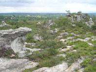 สวนหินงาม-ป่าหินงาม-อุทยานแห่งชาติป่าหินงาม-อ.เทพสถิต-จ.ชัยภูมิ