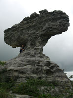 หินรูปเรดาห์-สวนหินงาม-ป่าหินงาม-อุทยานแห่งชาติป่าหินงาม-อ.เทพสถิต-จ.ชัยภูมิ