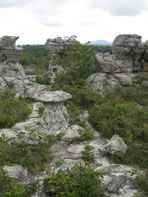 สวนหินงาม-ป่าหินงาม-อุทยานแห่งชาติป่าหินงาม-อ.เทพสถิต-จ.ชัยภูมิ