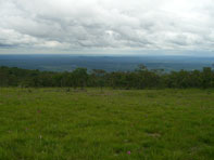 อุทยานแห่งชาติไทรทอง-หนองบัวระเหว-ทุ่งดอกกระเจียวบาน