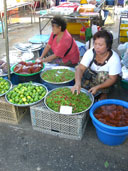 แมงกะพรุนถ้วย ตลาดเทศบาล อาหารทะเลสด ผลไม้สด อ.เมือง_ตราด