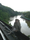 ทางรถไฟสายมรณะ สถานีรถไฟถ้ำกระแซ อ.ไทรโยค จ.กาญจนบุรี 