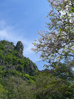 คลองเขาแดง_ประจวบคีรีขันธ์ ล่องเรือชมหินรูปหัวเต่า