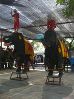 ปางช้าง_พระนครศรีอยุธยา