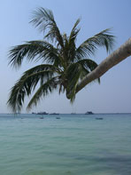 เกาะเต่า-หาดทรายรี-วิวทิวทัศน์รอบเกาะเต่า