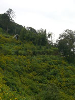 เมืองปาย_แม่ฮ่องสอน ปาย