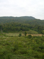 เมืองปาย_แม่ฮ่องสอน ปาย