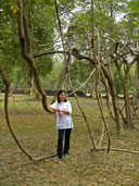 วัดพระสิงห์ อุทยานประวัติศาสตร์กำแพงเพชร อ.เมือง จ.กำแพงเพชร