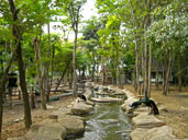 สวนนก บึงฉวากเฉลิมพระเกียรติ อ.เดิมบางนางบวช จ.สุพรรณบุรี 