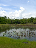 วนอุทยานพนมสวาย อ.เมือง จ.สุรินทร์ 