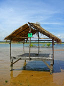 หาดพัทยา สิรินธร อ.สิรินธร จ.อุบลราชธานี 