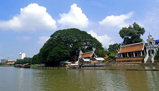 ล่อง_เรือ_แม่น้ำปิง_แม่ปิงริเวอร์ครุยส์_เชียงใหม่_MaePingRiverCruise_525