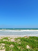 ชุมพร_คาบาน่า_รีสอร์ท_หาดทุ่งวัวแล่น_Chumphon_Cabana_Resort_36