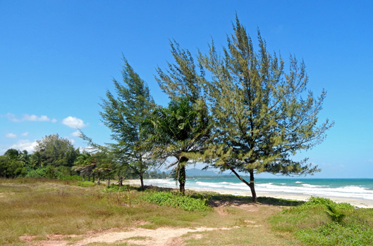 ชุมพร_คาบาน่า_รีสอร์ท_หาดทุ่งวัวแล่น_Chumphon_Cabana_Resort_50