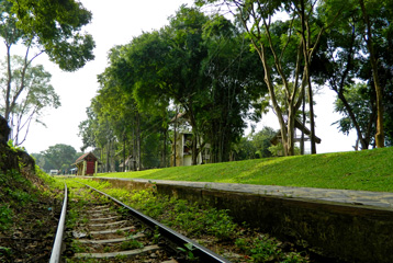 สวนไทรโยค_รีสอร์ท_เส้นทางรถไฟสายมรณะ_283