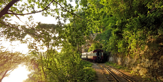 สวนไทรโยค_รีสอร์ท_เส้นทางรถไฟสายมรณะ_74