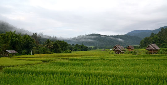 ทัวร์_ปาย_สะพานโขกู้โส่_211