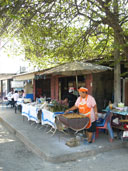 ก๋วยเตี๋ยวสุโขทัย ร้านใต้ต้นกระจี้ อ.เมือง จ.สุโขทัย 