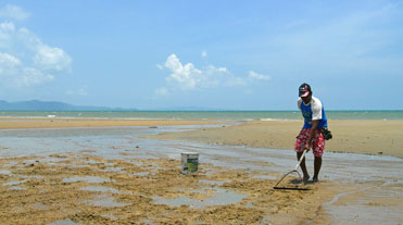 หาดจอมเทียน อ.บางละมุง จ.ชลบุรี